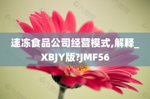 速冻食品公司经营模式,解释_XBJY版?JMF56