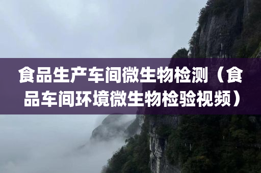 食品生产车间微生物检测（食品车间环境微生物检验视频）