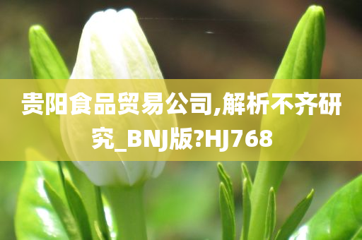 贵阳食品贸易公司,解析不齐研究_BNJ版?HJ768