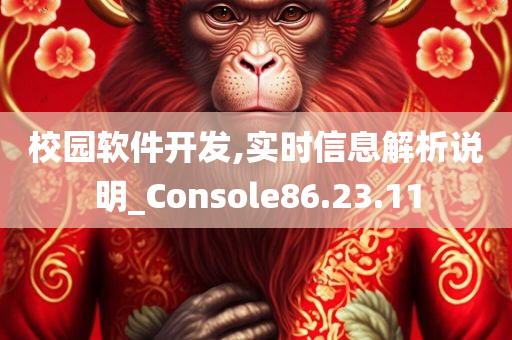 校园软件开发,实时信息解析说明_Console86.23.11