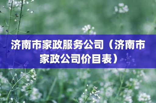 济南市家政服务公司（济南市家政公司价目表）