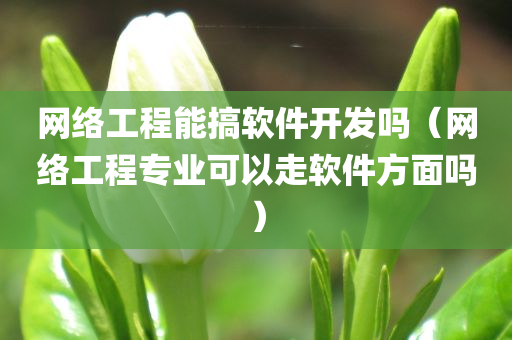 网络工程能搞软件开发吗（网络工程专业可以走软件方面吗）