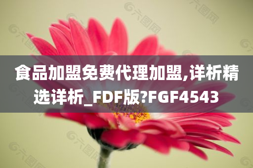 食品加盟免费代理加盟,详析精选详析_FDF版?FGF4543