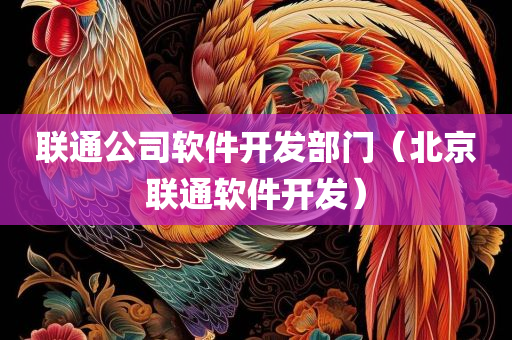 联通公司软件开发部门（北京联通软件开发）