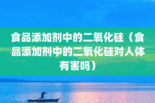 食品添加剂中的二氧化硅（食品添加剂中的二氧化硅对人体有害吗）