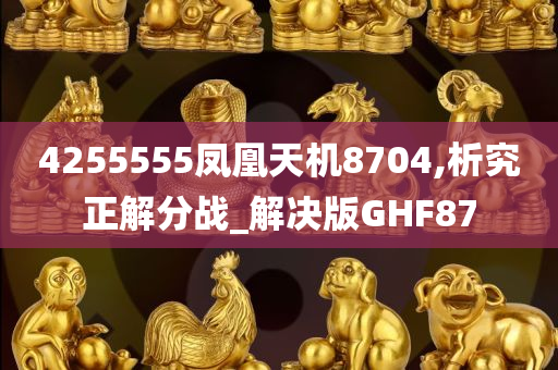 4255555凤凰天机8704,析究正解分战_解决版GHF87