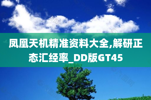 凤凰天机精准资料大全,解研正态汇经率_DD版GT45