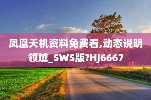 凤凰天机资料免费看,动态说明领域_SWS版?HJ6667