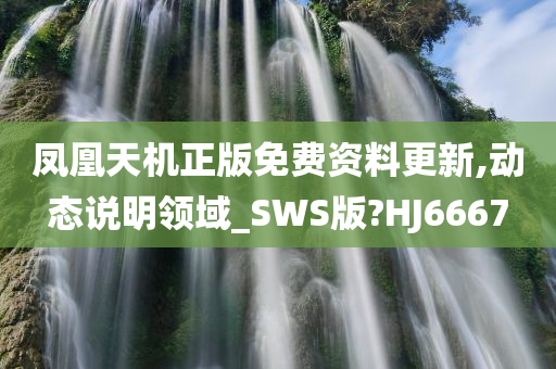 凤凰天机正版免费资料更新,动态说明领域_SWS版?HJ6667