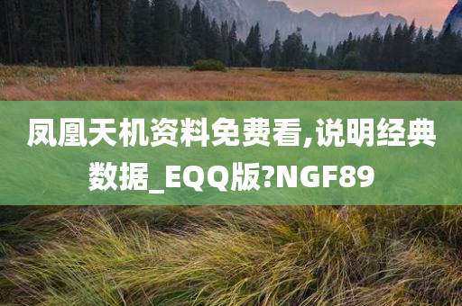 凤凰天机资料免费看,说明经典数据_EQQ版?NGF89