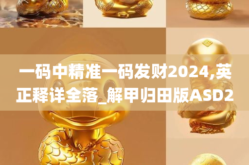 一码中精准一码发财2024,英正释详全落_解甲归田版ASD2