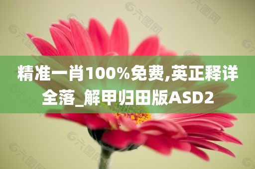 精准一肖100%免费,英正释详全落_解甲归田版ASD2