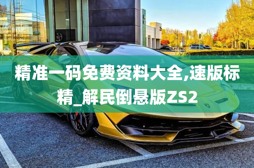 精准一码免费资料大全,速版标精_解民倒悬版ZS2