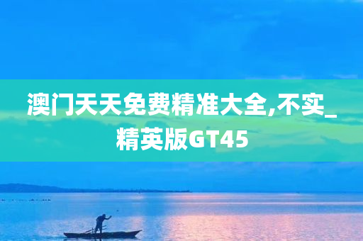 澳门天天免费精准大全,不实_精英版GT45