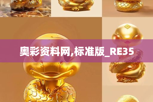 奥彩资料网,标准版_RE35