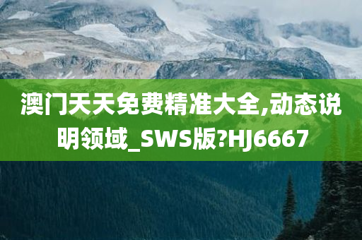 澳门天天免费精准大全,动态说明领域_SWS版?HJ6667