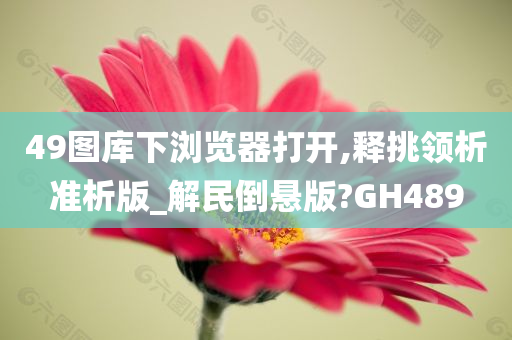 49图库下浏览器打开,释挑领析准析版_解民倒悬版?GH489