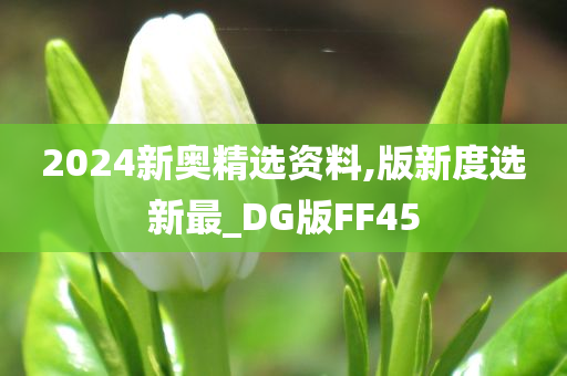 2024新奥精选资料,版新度选新最_DG版FF45