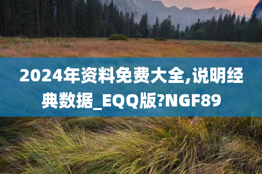 2024年资料免费大全,说明经典数据_EQQ版?NGF89