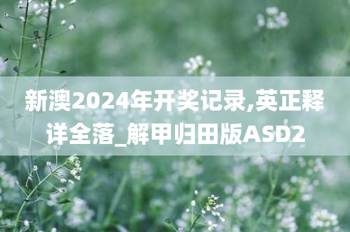 新澳2024年开奖记录,英正释详全落_解甲归田版ASD2