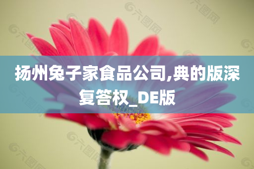 扬州兔子家食品公司,典的版深复答权_DE版