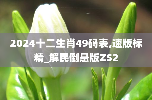 2024十二生肖49码表,速版标精_解民倒悬版ZS2