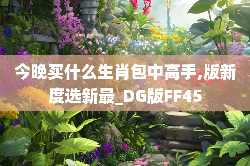 今晚买什么生肖包中高手,版新度选新最_DG版FF45