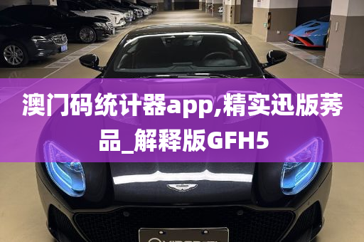 澳门码统计器app,精实迅版莠品_解释版GFH5