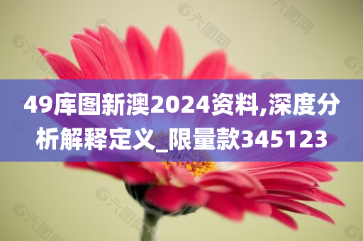 49库图新澳2024资料,深度分析解释定义_限量款345123