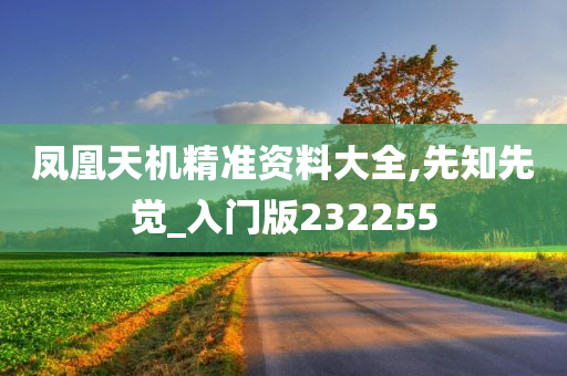 凤凰天机精准资料大全,先知先觉_入门版232255