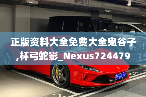 正版资料大全免费大全鬼谷子,杯弓蛇影_Nexus724479