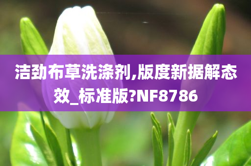 洁劲布草洗涤剂,版度新据解态效_标准版?NF8786