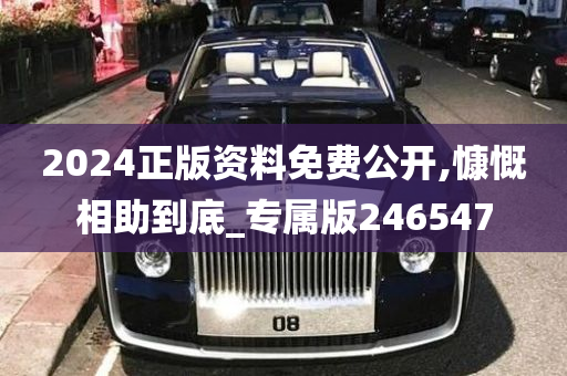 2024正版资料免费公开,慷慨相助到底_专属版246547