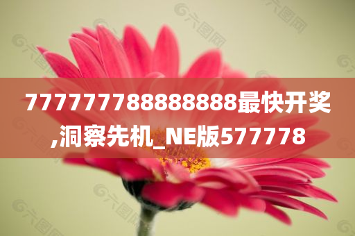 777777788888888最快开奖,洞察先机_NE版577778