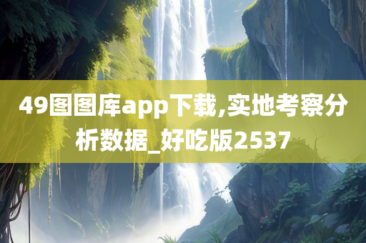 49图图库app下载,实地考察分析数据_好吃版2537