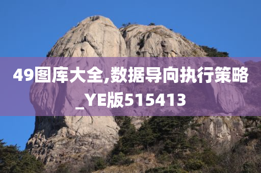 49图库大全,数据导向执行策略_YE版515413