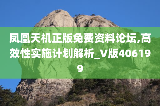 凤凰天机正版免费资料论坛,高效性实施计划解析_V版406199