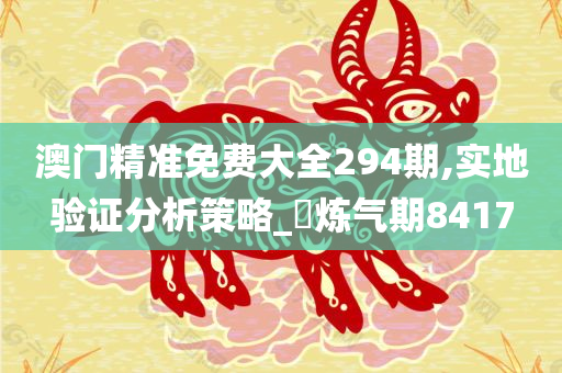 澳门精准免费大全294期,实地验证分析策略_‌炼气期8417