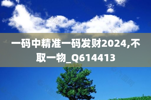 一码中精准一码发财2024,不取一物_Q614413