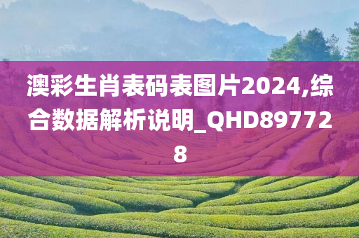 澳彩生肖表码表图片2024,综合数据解析说明_QHD897728