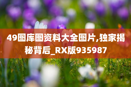 49图库图资料大全图片,独家揭秘背后_RX版935987