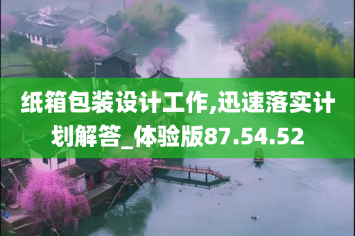 纸箱包装设计工作,迅速落实计划解答_体验版87.54.52