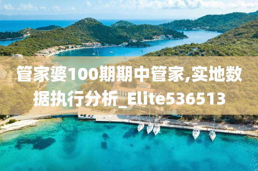 管家婆100期期中管家,实地数据执行分析_Elite536513