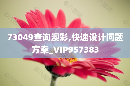 73049查询澳彩,快速设计问题方案_VIP957383