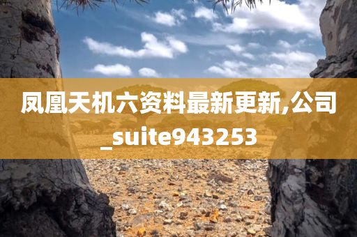 凤凰天机六资料最新更新,公司_suite943253