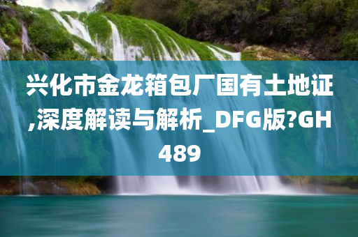 兴化市金龙箱包厂国有土地证,深度解读与解析_DFG版?GH489