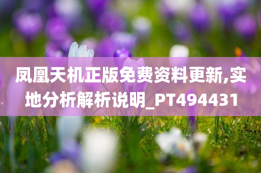 凤凰天机正版免费资料更新,实地分析解析说明_PT494431