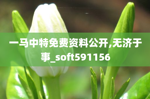 一马中特免费资料公开,无济于事_soft591156