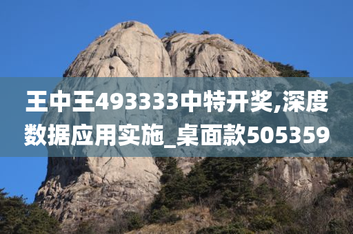 王中王493333中特开奖,深度数据应用实施_桌面款505359