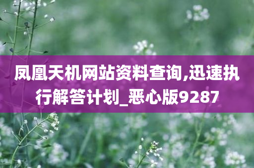 凤凰天机网站资料查询,迅速执行解答计划_恶心版9287